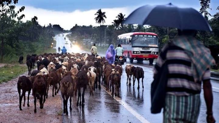 Bengaluru weather: Traffic woes likely in store for IT hub as IMD forecasts more rain