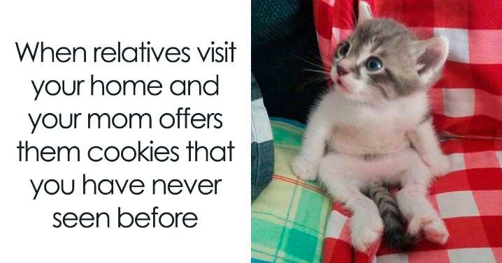 A Day Is Not Complete Without Looking At Memes So Here Are 79 For You To Laugh At