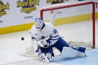 Maple Leafs Recall Dennis Hildeby
