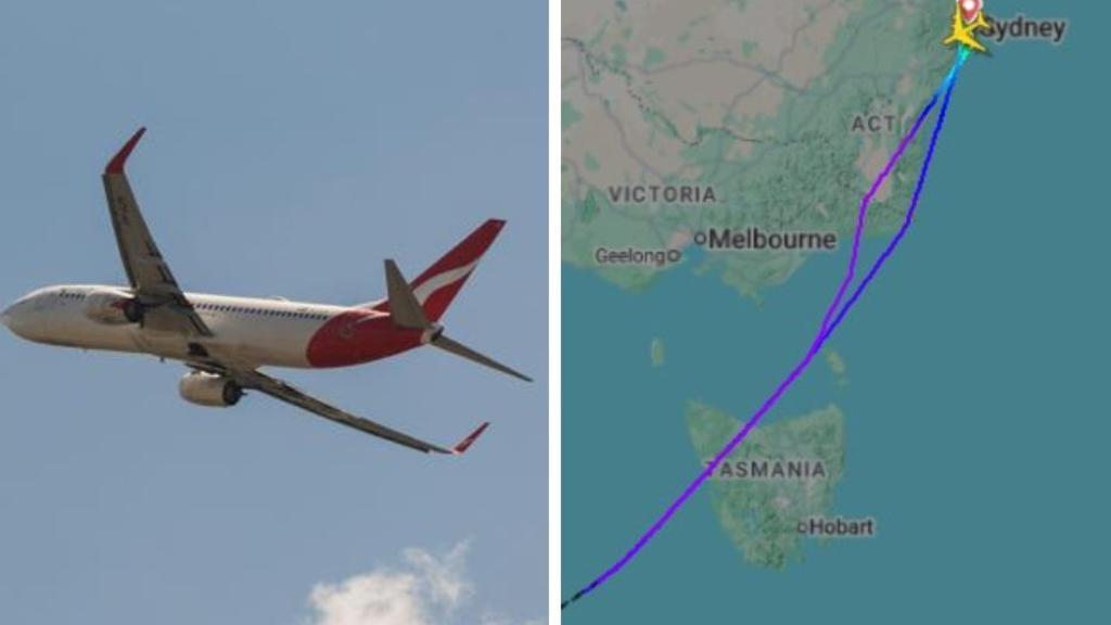 Qantas flight to South Africa forced to turn back to Sydney after mid