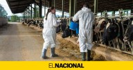 La amenaza de la dermatosis nodular avanza en Catalunya: primer caso fuera del Empordà