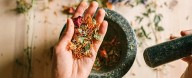5 Common Herbs And Spices With Digestive Benefits, Backed by Science