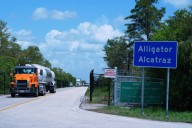 Feds approve Florida for a $608 million 'Alligator Alcatraz' reimbursement
