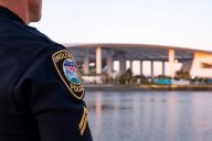 Inglewood Police Department continues search for stolen hawks from SoFi Stadium
