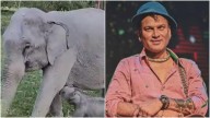 In Assam’s Kaziranga, newborn elephant calf named after late singer Zubeen Garg’s cult