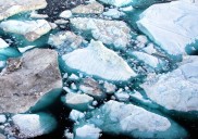 El mundo se acerca al colapso climático, pero la ciencia ofrece un rayo de esperanza