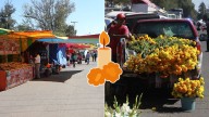 Día de Muertos: vendedores ambulantes no podrán participar en la romería del Panteón de Oriente