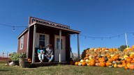 Utah County farm finds sustainability through corn maze attraction