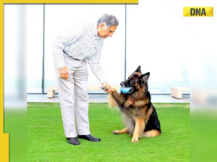 Ratan Tata's first death anniversary: How late tycoon ensured care for his dog