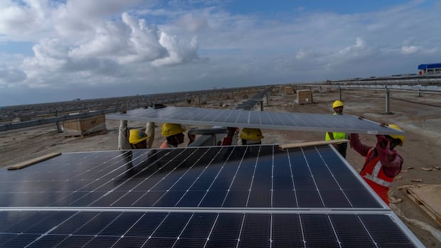 Renewables become biggest source of electricity globally for 1st time, beating coal