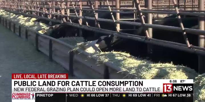 Mixed reaction over southern Arizona impact of new federal grazing plan