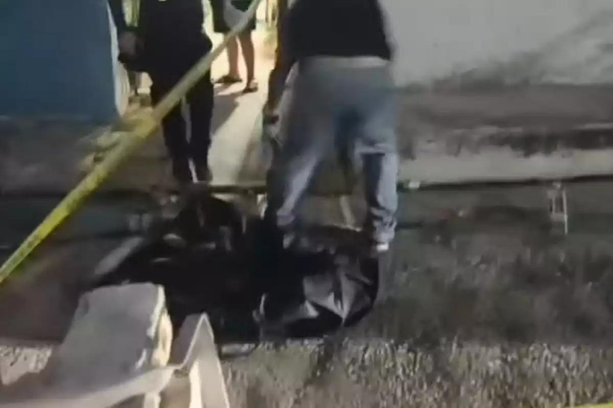 Envenenan a perrita en la colonia Esperanza de Campeche; suman 12 caninos muertos en la misma calle