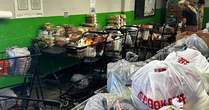 Join the efforts large and small to stop a spike in hunger