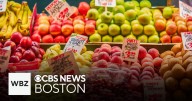 Could the city of Boston open publicly-owned grocery stores?