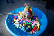 What voters in 4 truly random places in Denver think of the mayor, the bond, Flock and more