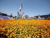 Ofrenda Monumental 2025: Homenaje a los 700 años de México