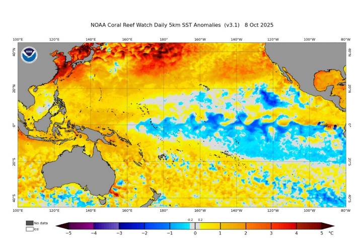 La NOAA declara condiciones La Niña presentes en el Pacífico: esto es lo que se puede esperar