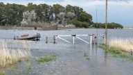 Se agrava el panorama de las inundaciones rurales: “Estamos preocupados y dolidos por la situación”