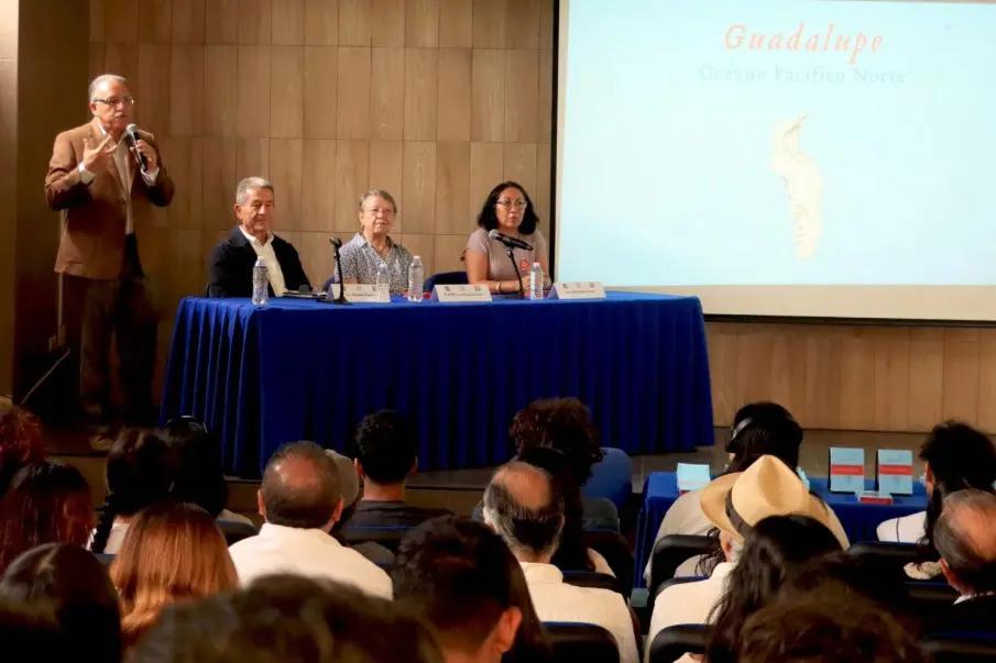 UABCS presenta “Tierra a la vista”, un homenaje artístico y científico a 50 islas de ...