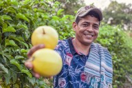 De Colombia para el mundo: el auge de las frutas exóticas colombianas