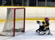 High-scoring young Stingers lead Fun 3 squads to wins