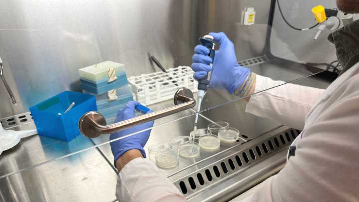 Científicos catalanes hallan la clave contra los microplásticos: bacterias que se comen el plástico del mar
