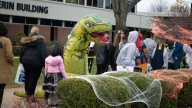 Free Halloween event at KCC to offer games, candy and more