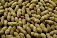 Advice to feed babies peanuts early and often helped thousands of kids avoid allergies