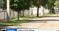 Man mauled to death by dogs in Liberty City, Miami Police say