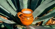 Feria del Pulque Atizapán de Zaragoza 2025: fechas, programa de actividades y cómo llegar