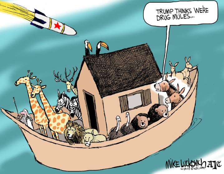 Cartoon: Wrong kind of mule