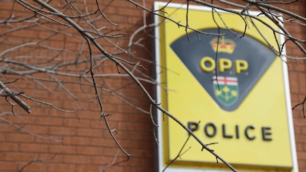 2 Brampton men charged after allegedly fabricating carjacking report: police