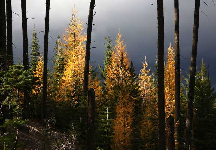 Why fall might be the best season for Mount Hood adventures
