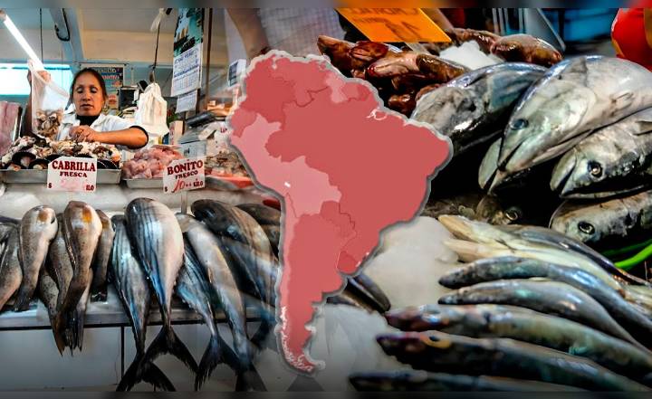 El país de América Latina con mayor producción de pescado del mundo junto a China e Indonesia: supera a EE.UU. en top 5