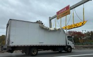 Another backup of shame, but this time by a truck driver startled by a bridge that just came out of nowhere