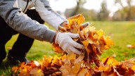 10 Essential Ryobi Tools For Winter And Fall Tasks