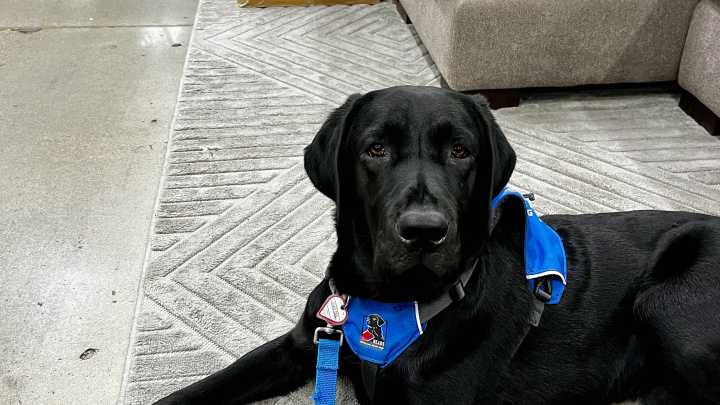 Here's what Rhode Island is talking about today