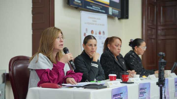 Los desafíos que dejó evidenciados la MOE para implementar la ley de la violencia contra la mujer en política