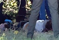 Asesinan a mujer de un disparo en Parajes del Sur