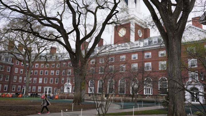 Harvard's unblinking hypocrisy: Dean denounces 'evil' police, 'whiteness'