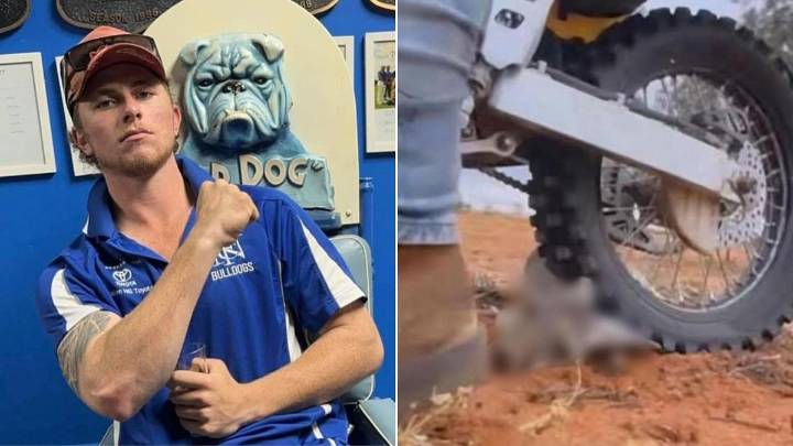 Farm worker filmed kicking and torturing animals successfully appeals sentence