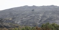 Alfonso Rueda pone al Gobierno en el punto de mira por retrasar las ayudas de los incendios