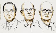 El Nobel de Química 2025 premia el desarrollo de un nuevo tipo de arquitectura molecular