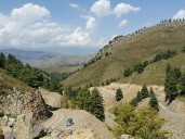 Woman killed, three children injured as mortar shell hits house in Tirah