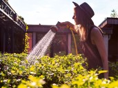 Why San Diego yards deserve more than just sprinklers and sunshine