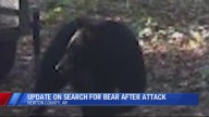Arkansas Game and Fish Commission details what's next in fatal bear attack investigation