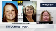 Texas County double-murder suspect pleads no contest