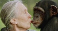 Jane Goodall, conservationist renowned for chimpanzee research and environmental advocacy, has died