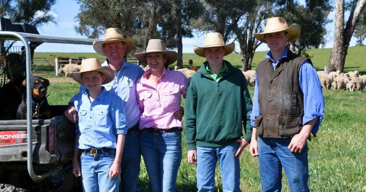 Boomey Park's continual improvement in Merinos and Simmentals