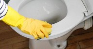 'Cheapest' way to banish grim yellow toilet seat stains from your bathroom